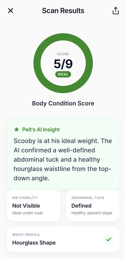 Step 3 demonstration